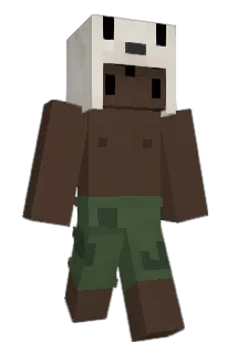 1mistershifu Minecraft avatar full body