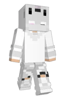 1nikeys Minecraft avatar full body
