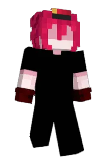 1nq_ Minecraft avatar full body