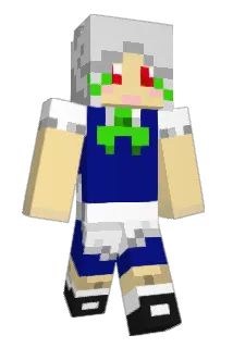 1oak Minecraft avatar full body