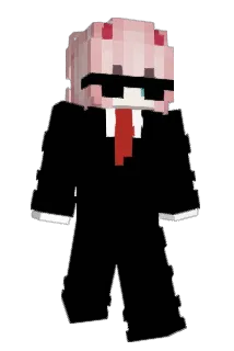 1peewee Minecraft avatar full body