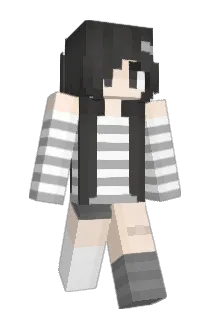1poland Minecraft avatar full body