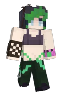 1sofe Minecraft avatar full body