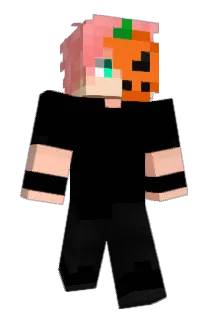 1state Minecraft avatar full body