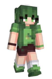 1stmts Minecraft avatar full body