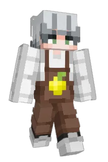 1tsWise Minecraft avatar full body