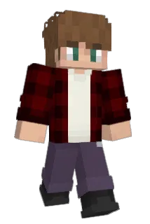 1udvig Minecraft avatar full body