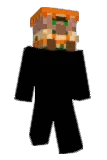 1villi Minecraft avatar full body