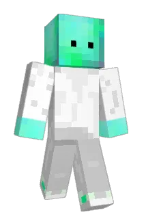 1x333_ Minecraft avatar full body