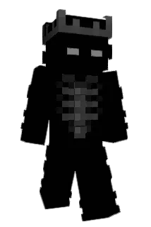 1xhp Minecraft avatar full body