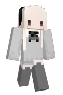 1zGme Minecraft avatar full body