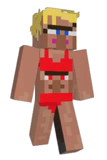 2003bdw Minecraft avatar full body