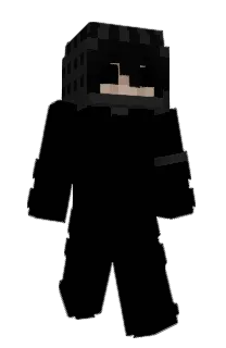 Front of Parodies's skin