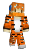 tiggy10tigs