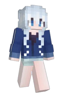 2010615 Minecraft avatar full body