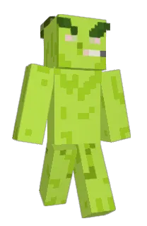 flex_______'s Minecraft skin