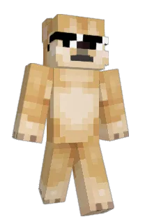 Front of Minecraft skin