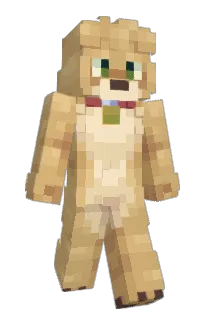 Front of PUMMELEDPINATA's skin