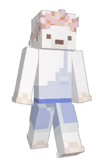Geimeo's Minecraft skin