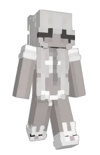 Front of confl1ct's skin