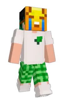 Front of Minecraft skin
