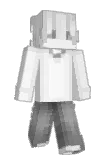 2040 Minecraft avatar full body