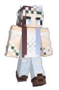 Skinke