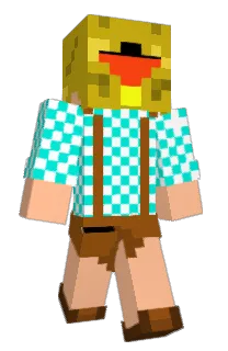 Front of zaroomer's skin
