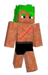 Fizzy296's Minecraft skin