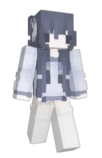 Front of langchain's skin