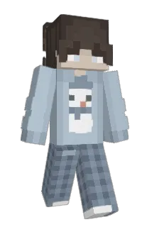 2060P Minecraft avatar full body