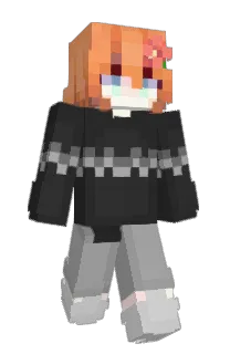Front of blahajs's skin