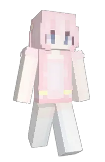 Front of stelsi's skin
