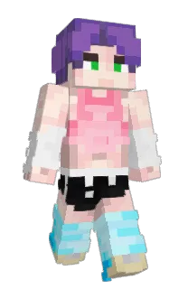 Front of Minecraft skin