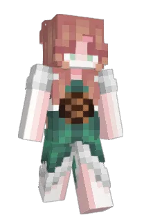 Front of PeterParker0516's skin
