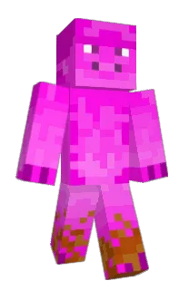 Front of micropig's skin