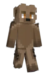 Front of doqs's skin