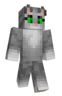 Front of sp1dyy's skin