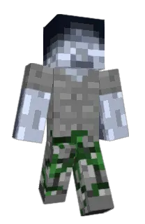 Front of wjllem's skin