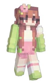 Skin preview
