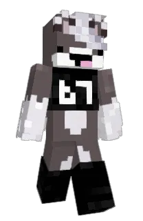 salempurrs's Minecraft skin