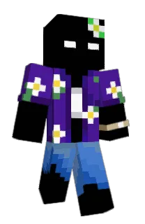 Front of Minecraft skin