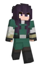 Skin preview