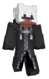 Minecraft skin — Classic model