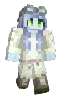 Front of dilil's skin