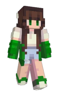 Front of Coolkid201's skin