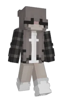 Front of 223k's skin
