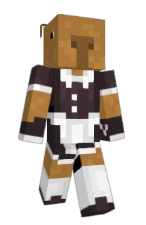 Front of Minecraft skin