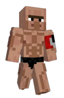 Front of Minecraft skin