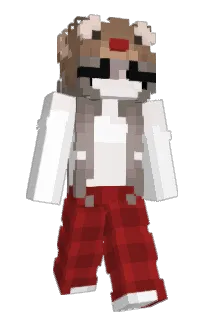 Front of Alufix's skin